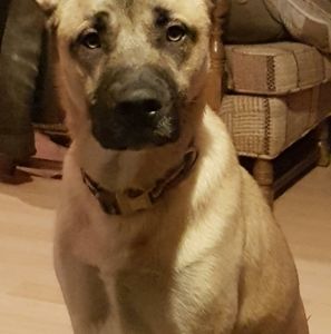 Meet your Posher, Gerald